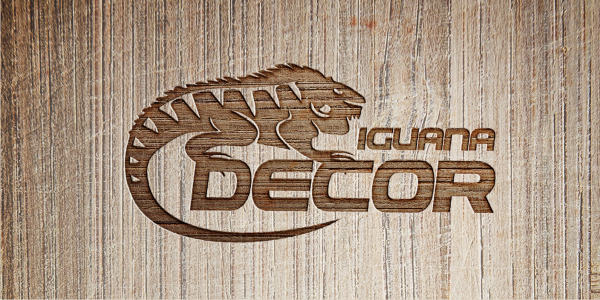 Iguana Decor Iguana Decor