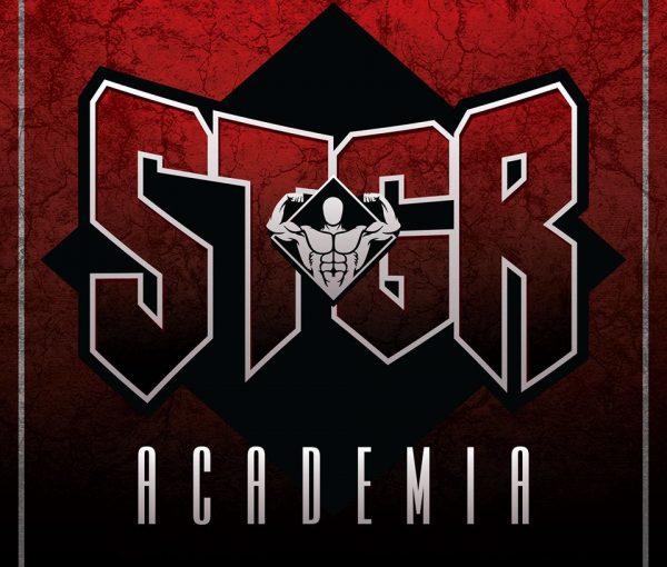 Stronger Academia Stronger Academia