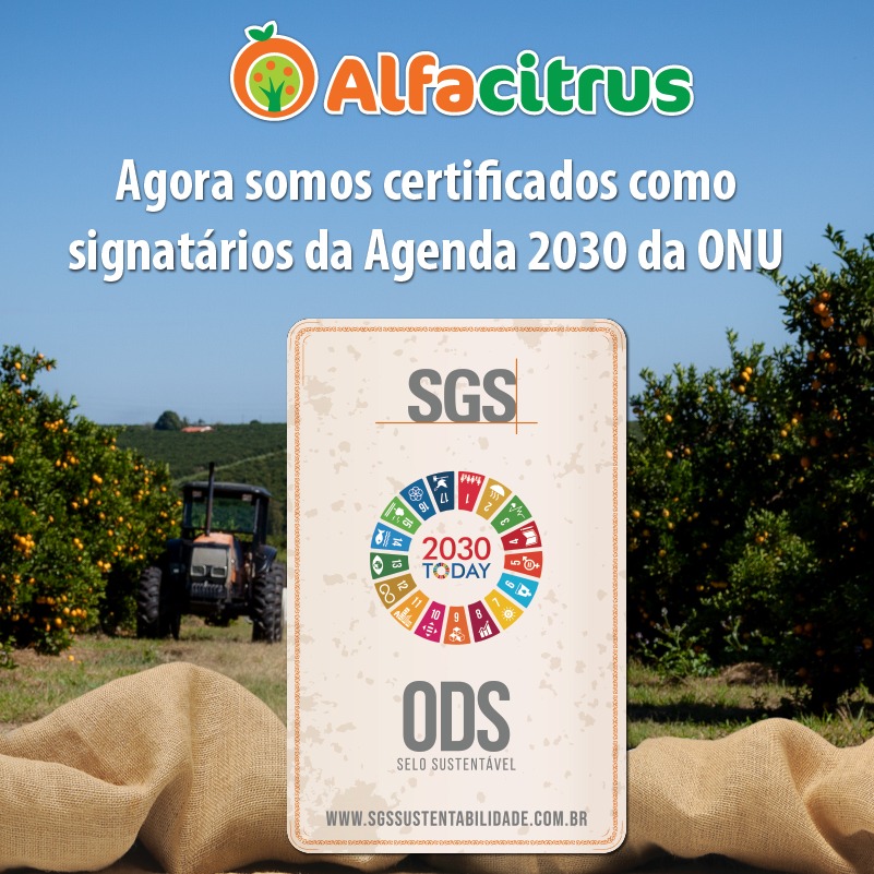 2030Today - O que são os Objetivos de Desenvolvimento Sustentável (ODS)?