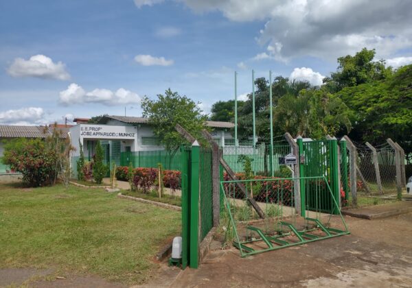 Polícia apura ocorrência de bomba jogada em escola estadual de Artur ...