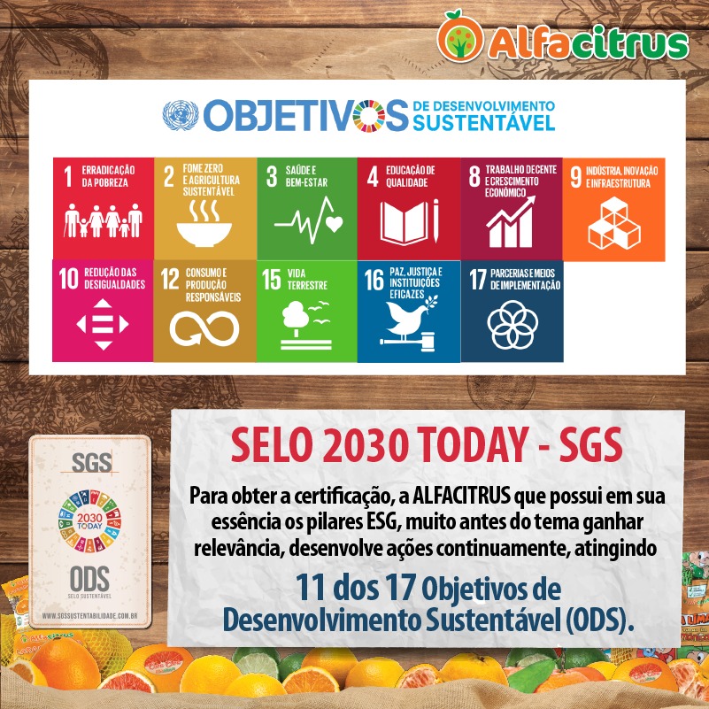 2030Today - O que são os Objetivos de Desenvolvimento Sustentável (ODS)?